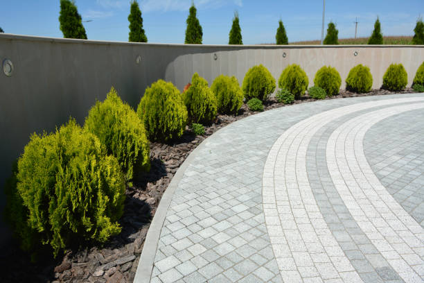 Best Commercial Driveway Pavers  in Forestville, CA